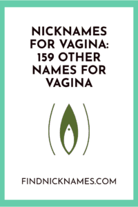 Vagina Nicknames