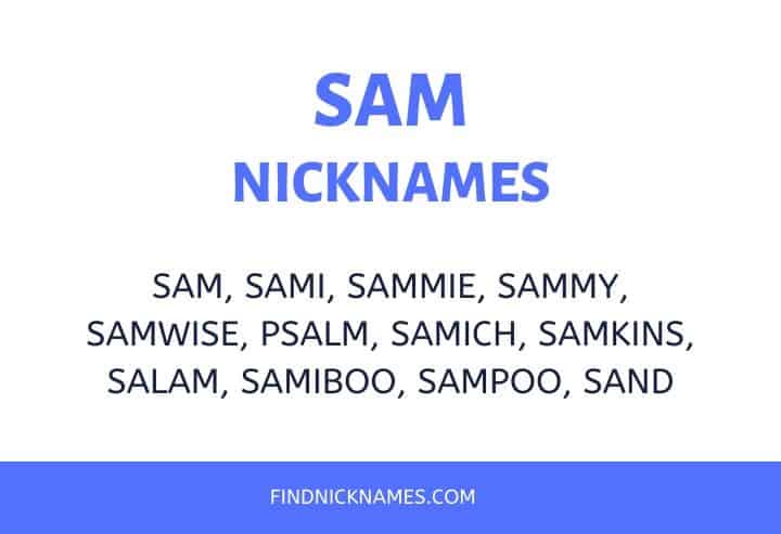79 Cute and Funny Nicknames for Sam — Find Nicknames