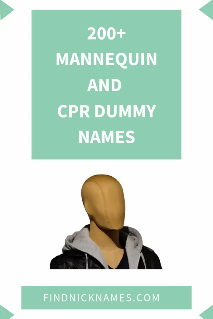 500+ Mannequin and CPR Dummy Names — Find Nicknames