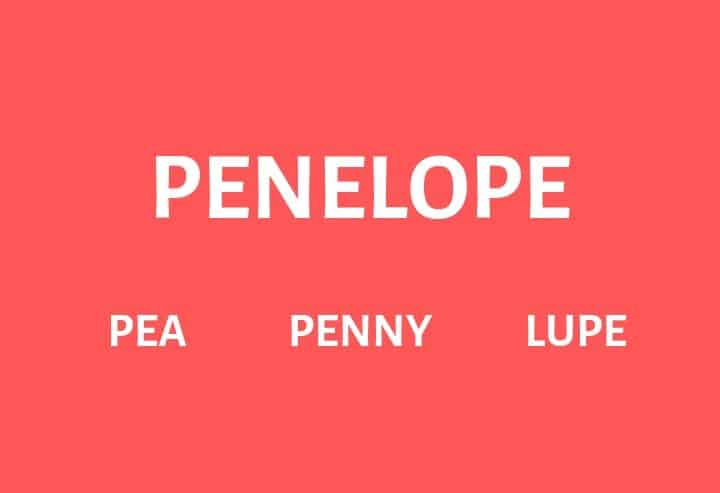 Nicknames for Penelope