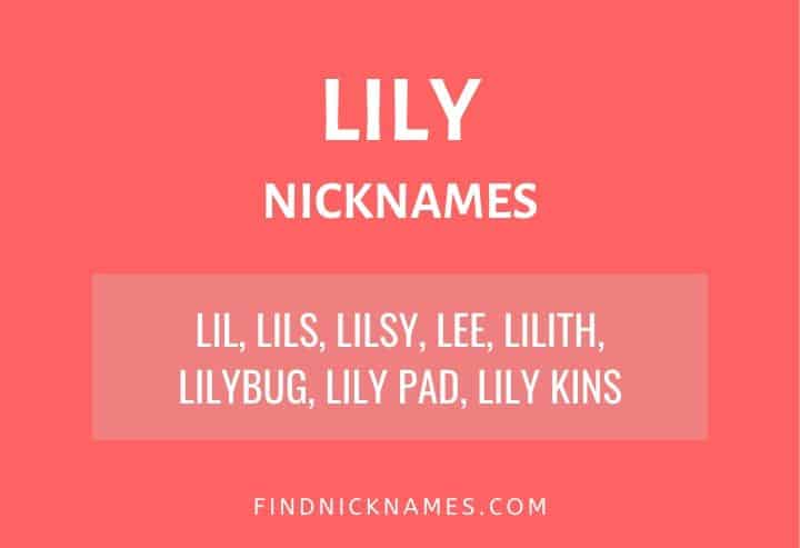 25 Creative Nicknames For Lily Find Nicknames