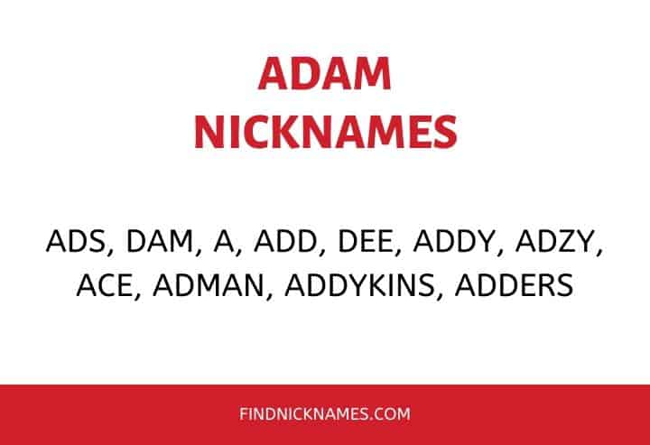 20+ Creative Nicknames for Adam — Find Nicknames
