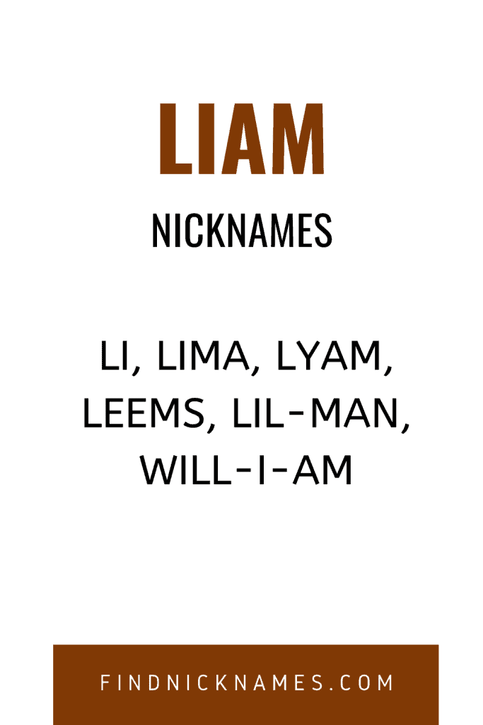30+ Creative Nicknames for Liam — Find Nicknames