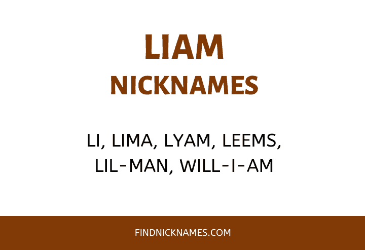 Nicknames for Liam